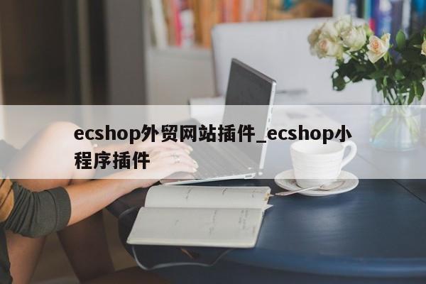 ecshop外贸网站插件_ecshop小程序插件