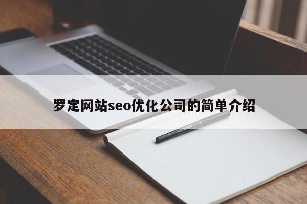 罗定网站seo优化公司的简单介绍